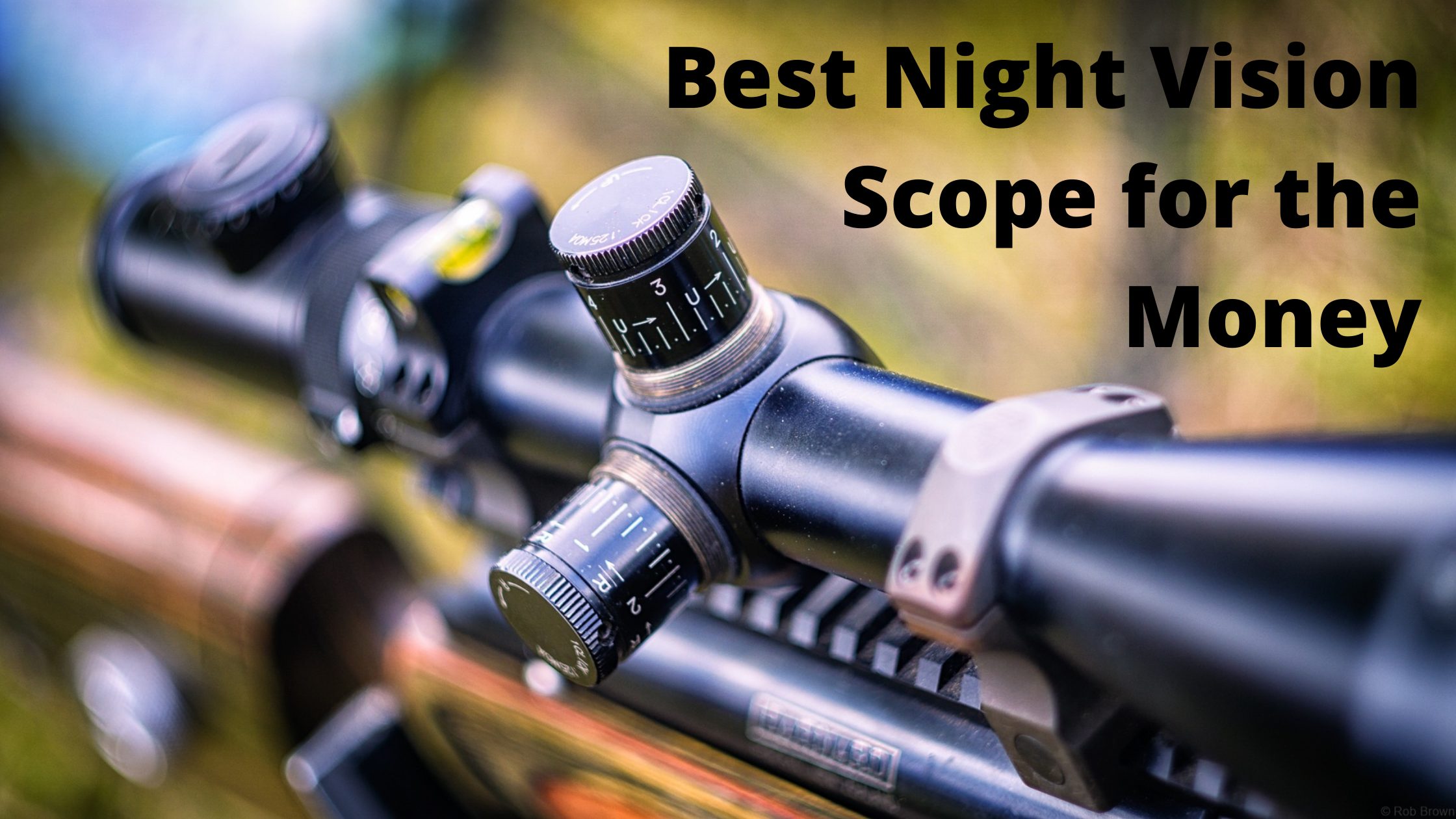 Best Night Vision Scope for the Money